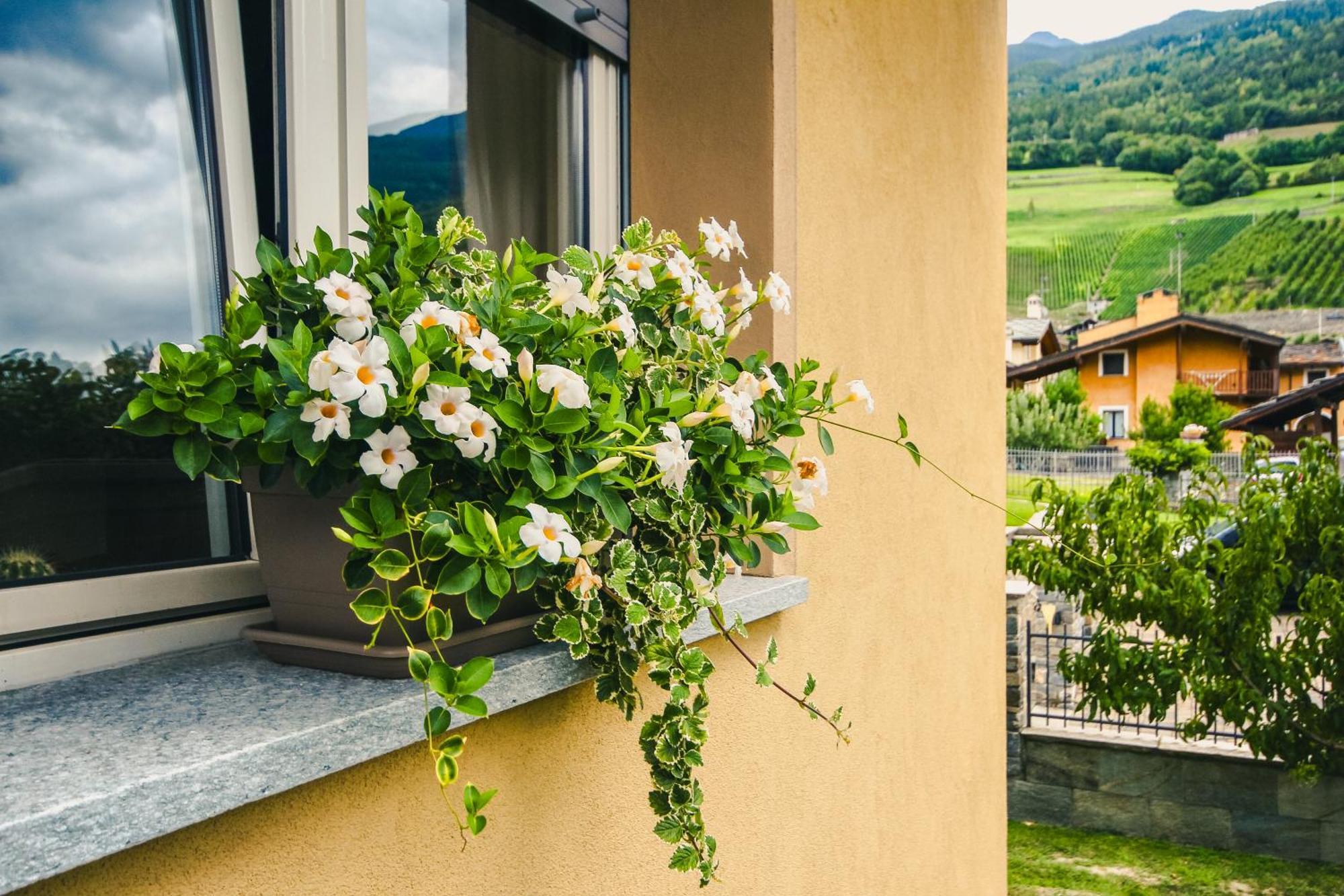 Hotel L'Adret Gressan Zewnętrze zdjęcie